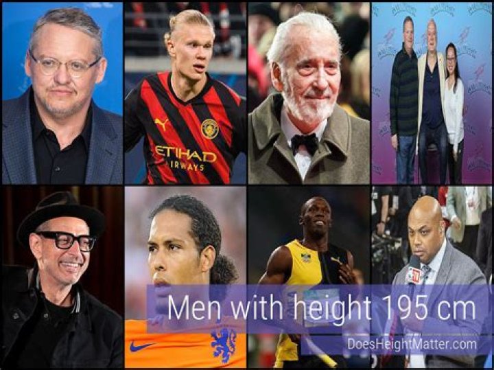 Remarkably Large: Uncovering The Dimensions Of 19.5 Cm