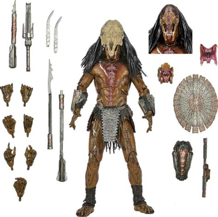 Characteristics of a human predator