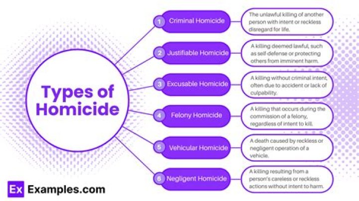 Examples of non criminal homicide