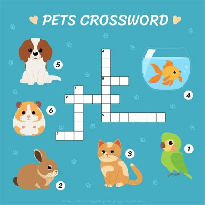 Exploring The World Of Some Rodent Pets Crossword