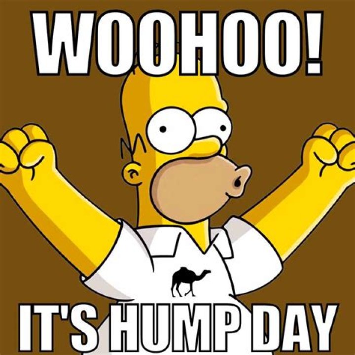 Hilarious Humor For A Midweek Boost: The Funniest Hump Day Laughs