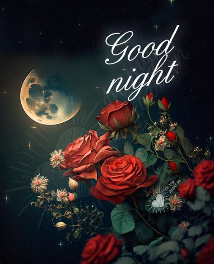 Exquisite Good Night Images To End Your Day Tranquilly