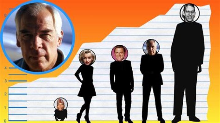 How Tall Was Lee Marvin? Uncovering The Height Of A Legendary Actor