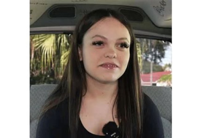 Unlock The Adventure: Discover The Ultimate Kelsey Fanbus Experience