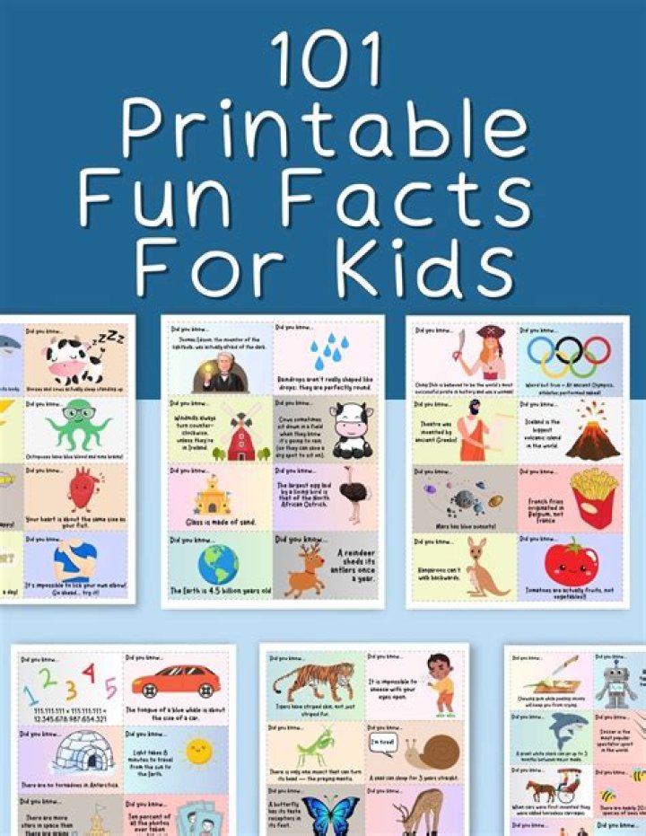 Kim Weitsman: 10 Facts To Know About