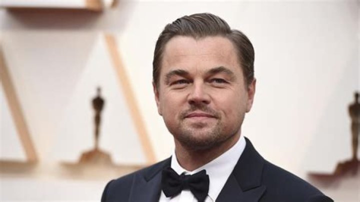 Leonardo DiCaprio's Enormous Net Worth