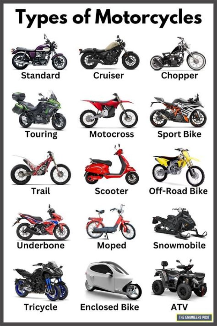 Let's Name A Motorcycle: The Ultimate Guide To Finding The Perfect Ride