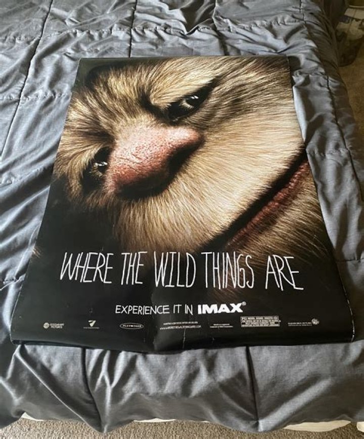 The Hidden Truth Behind The Beloved Tale: Where The Wild Things Are