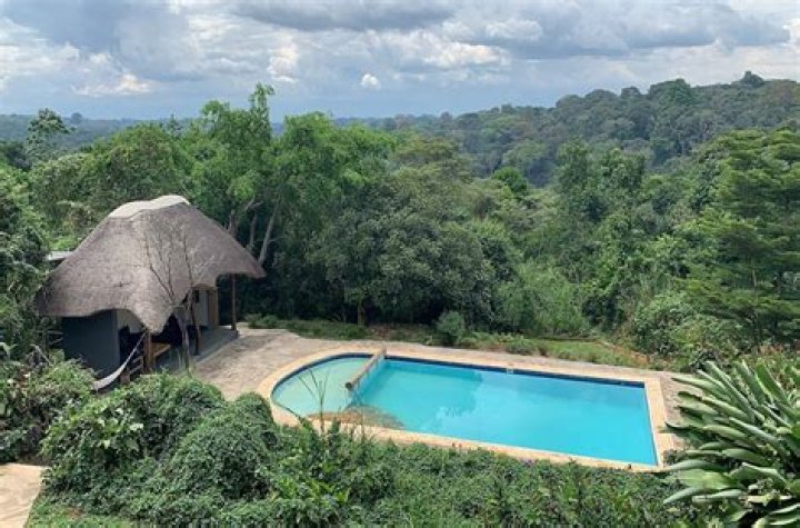 Turaco Treetops, Kamwenge, Uganda