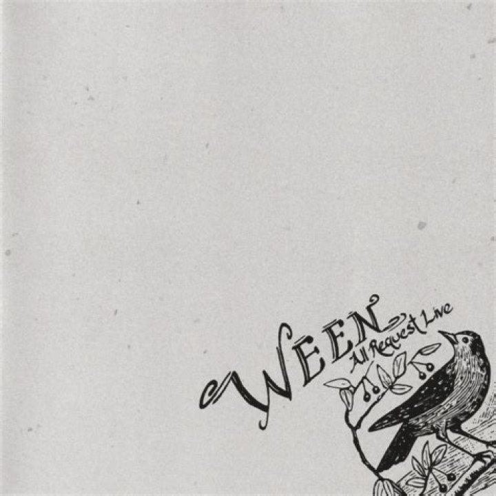 Ween’sTender Situation Lyrics