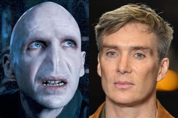 Who is Ralph Ineson Harry Potter?