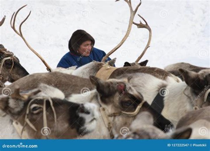 Exploring The Rich Tapestry Of Yamal Nationalities